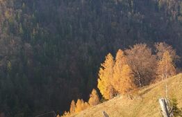 Oportunitate! Teren intravilan de 13.000 mp, Moieciu Magura