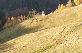 Oportunitate! Teren intravilan de 13.000 mp, Moieciu Magura