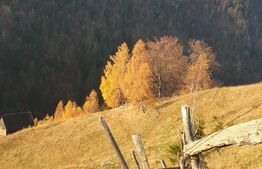 Oportunitate! Teren intravilan de 13.000 mp, Moieciu Magura