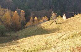 Oportunitate! Teren intravilan de 13.000 mp, Moieciu Magura