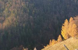 Oportunitate! Teren intravilan de 13.000 mp, Moieciu Magura