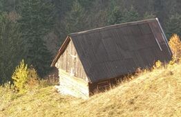 Oportunitate! Teren intravilan de 13.000 mp, Moieciu Magura