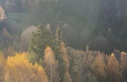 Oportunitate! Teren intravilan de 13.000 mp, Moieciu Magura