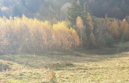 Oportunitate! Teren intravilan de 13.000 mp, Moieciu Magura