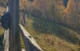 Oportunitate! Teren intravilan de 13.000 mp, Moieciu Magura