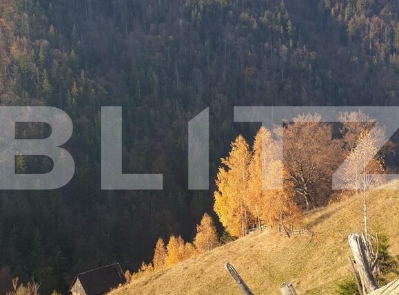 Teren de vânzare Moieciu - 101019TV | BLITZ Brașov | Poza5