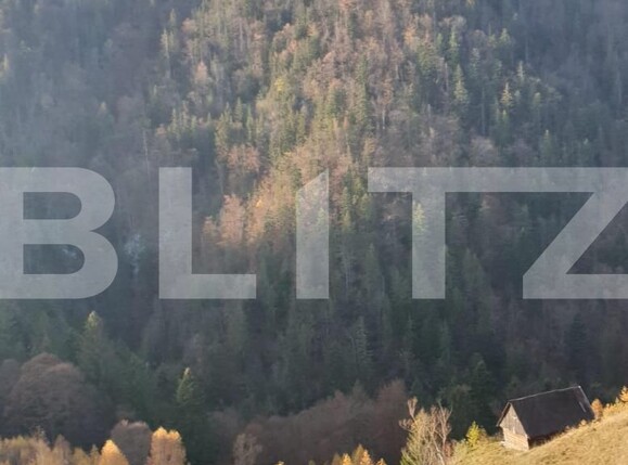 Teren de vânzare Moieciu - 101019TV | BLITZ Brașov | Poza7