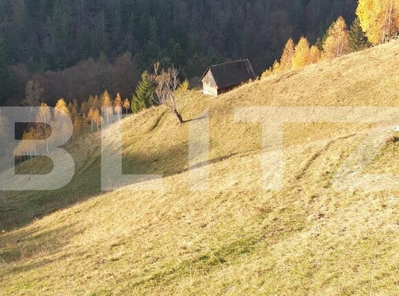 Teren de vânzare Moieciu - 101019TV | BLITZ Brașov | Poza11