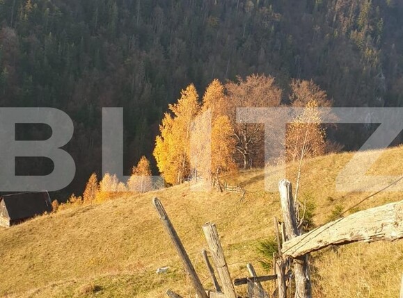Teren de vânzare Moieciu - 101019TV | BLITZ Brașov | Poza1