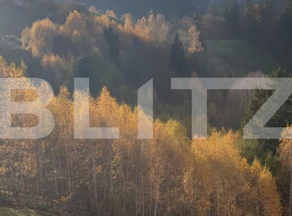 Teren de vânzare Moieciu - 101019TV | BLITZ Brașov | Poza9
