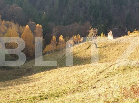 Teren de vânzare Moieciu - 101019TV | BLITZ Brașov | Poza10