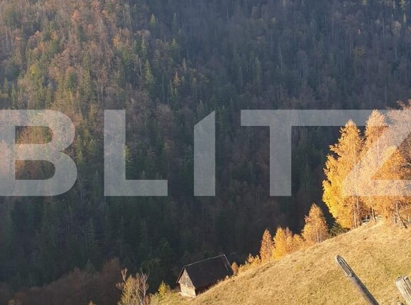 Teren de vânzare Moieciu - 101019TV | BLITZ Brașov | Poza3