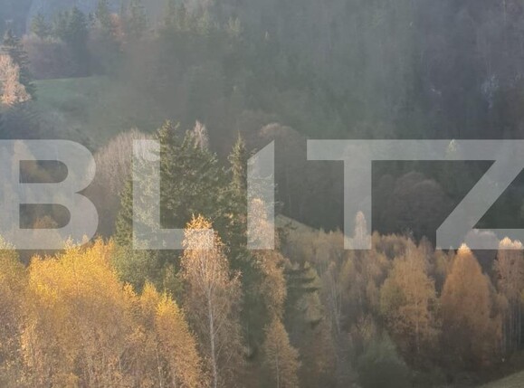 Teren de vânzare Moieciu - 101019TV | BLITZ Brașov | Poza8