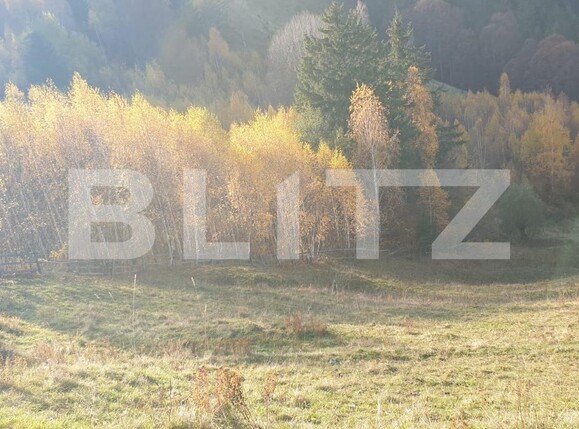 Teren de vânzare Moieciu - 101019TV | BLITZ Brașov | Poza2