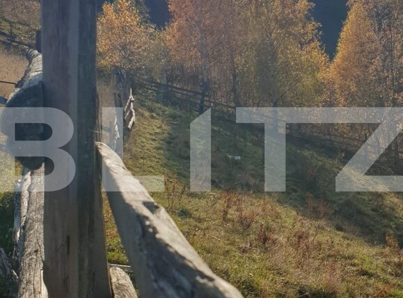 Teren de vânzare Moieciu - 101019TV | BLITZ Brașov | Poza6