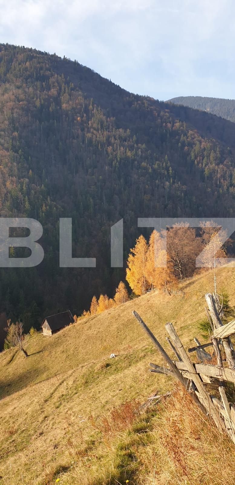 Teren de vânzare Moieciu - 101019TV | BLITZ Brașov | Poza5