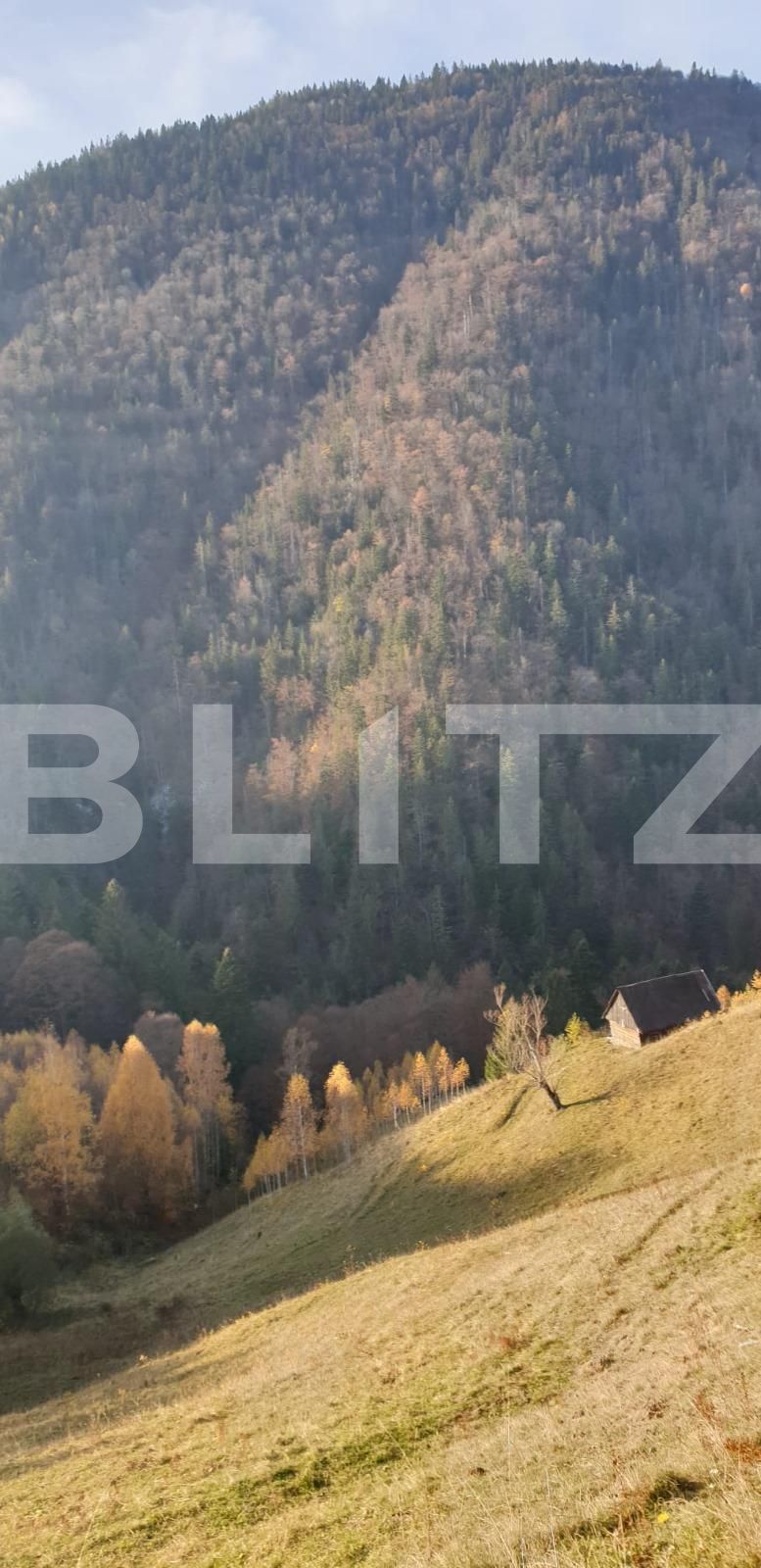Teren de vânzare Moieciu - 101019TV | BLITZ Brașov | Poza7