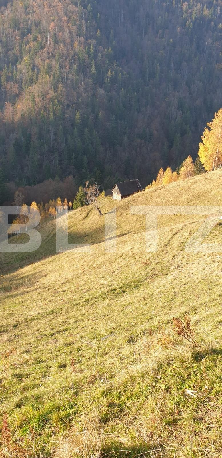 Teren de vânzare Moieciu - 101019TV | BLITZ Brașov | Poza11