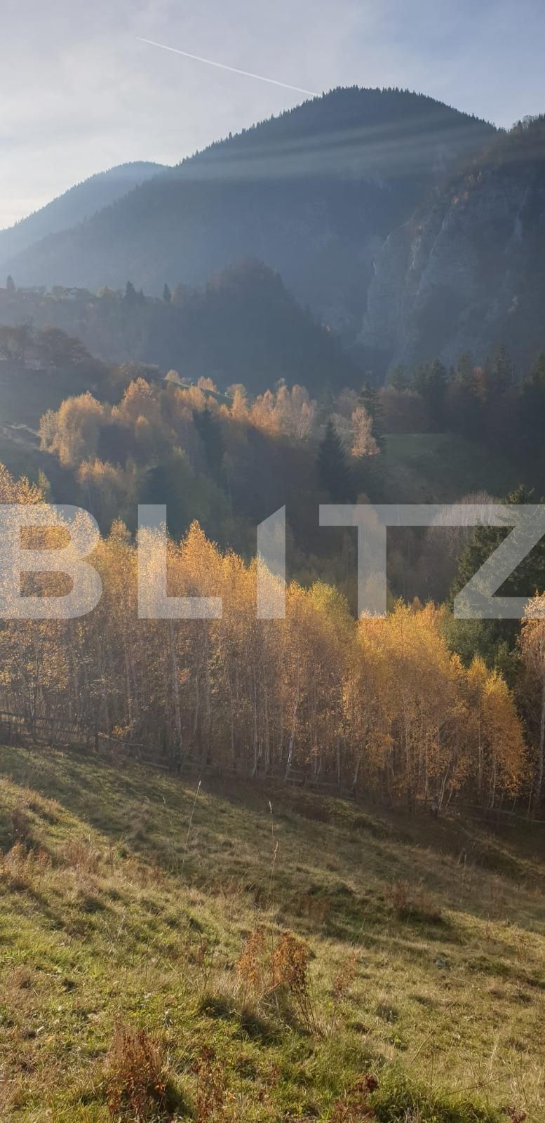 Teren de vânzare Moieciu - 101019TV | BLITZ Brașov | Poza9