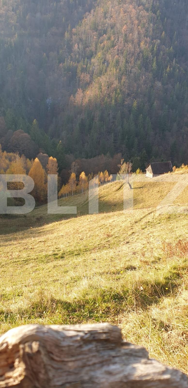 Teren de vânzare Moieciu - 101019TV | BLITZ Brașov | Poza10