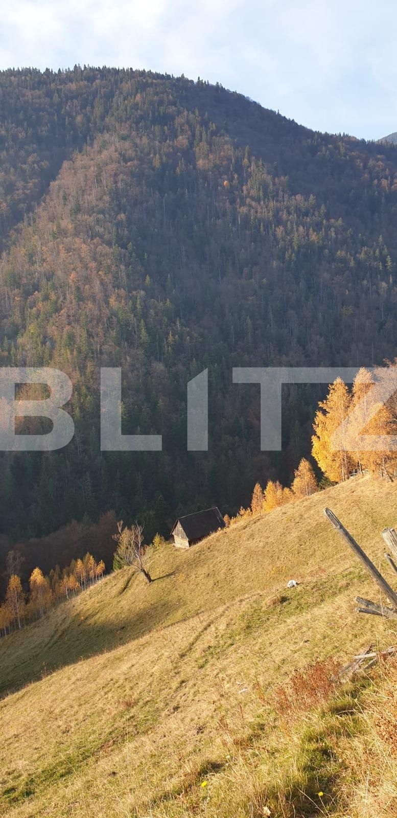 Teren de vânzare Moieciu - 101019TV | BLITZ Brașov | Poza3