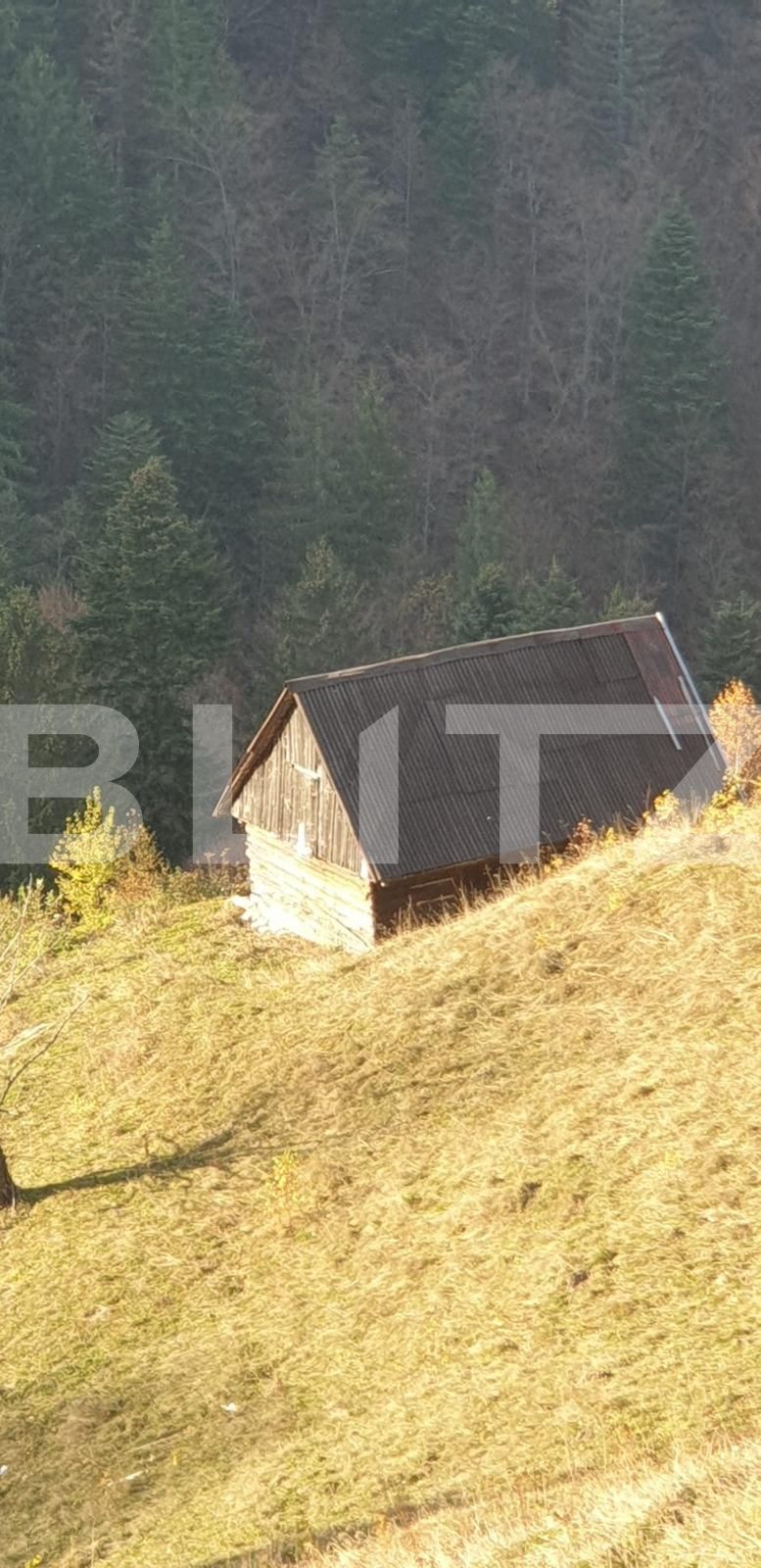 Teren de vânzare Moieciu - 101019TV | BLITZ Brașov | Poza4