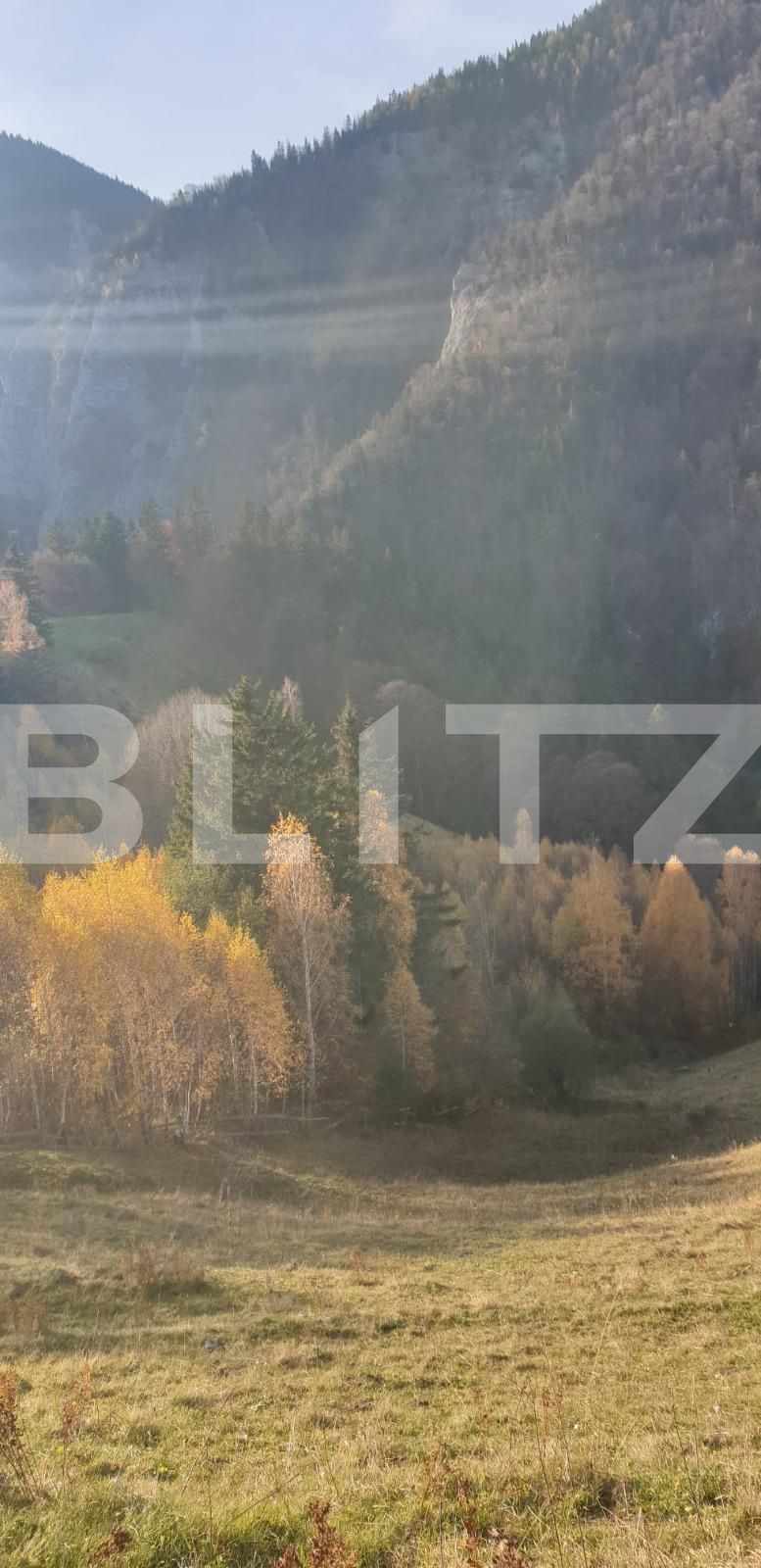 Teren de vânzare Moieciu - 101019TV | BLITZ Brașov | Poza8