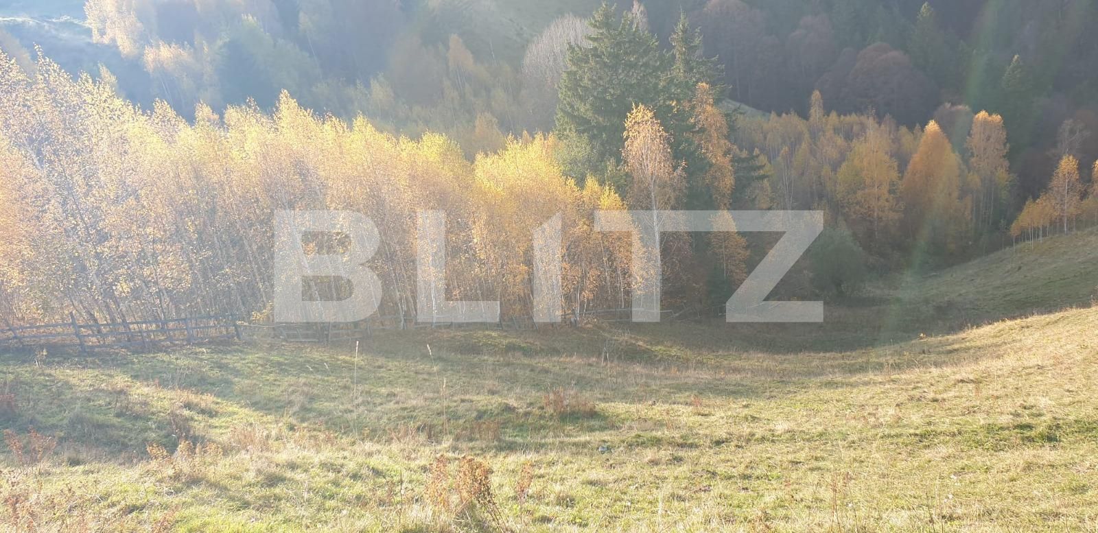 Teren de vânzare Moieciu - 101019TV | BLITZ Brașov | Poza2