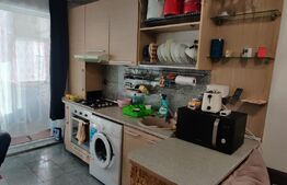 Apartament de 2 camere mobilat, 48mp, parcare, zona Muzeul Apei