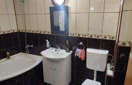 Apartament de 2 camere mobilat, 48mp, parcare, zona Muzeul Apei