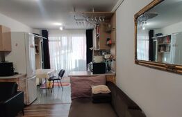 Apartament de 2 camere mobilat, 48mp, parcare, zona Muzeul Apei