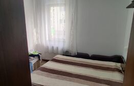 Apartament de 2 camere mobilat, 48mp, parcare, zona Muzeul Apei