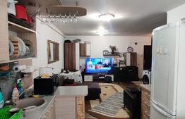 Apartament de 2 camere mobilat, 48mp, parcare, zona Muzeul Apei