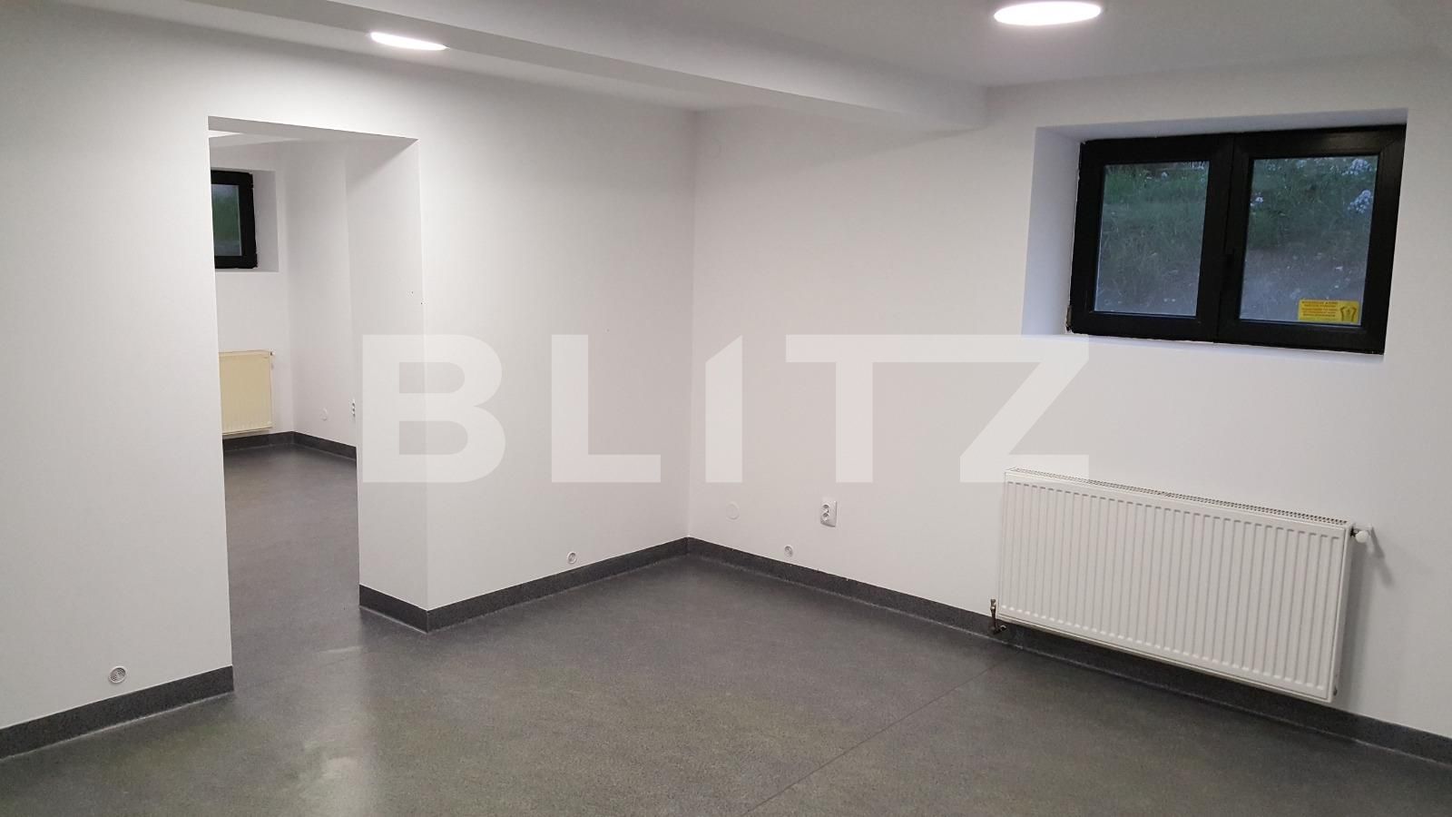 Spațiu birouri de închiriat Andrei Mureşanu - 101101SIB | BLITZ Cluj-Napoca | Poza5