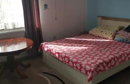 Casa individuala, 210 mp utili, 2727 mp teren, Aghiresu