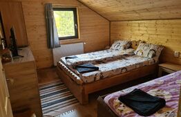 Casa de vacanta, 5 camere, 130 mp, teren 1000 mp, zona Valea Ierii