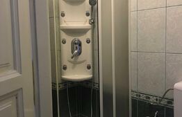 Apartament proaspat renovat, terasa, curte, 122mp, zona Centrala