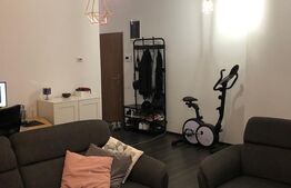 Penthouse de lux, 2 camere, 60 mp, în Bună Ziua