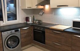 Penthouse de lux, 2 camere, 60 mp, în Bună Ziua