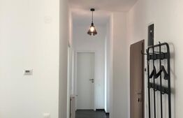 Penthouse de lux, 2 camere, 60 mp, în Bună Ziua