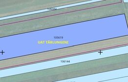 Teren extravilan 12000mp, pretabil investitie, Tarlungeni