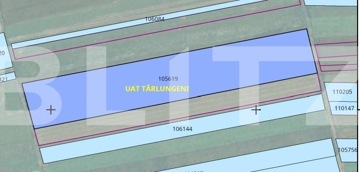 Teren de vânzare Tarlungeni - 101255TV | BLITZ Brașov | Poza2