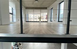 Cladire de sticla, 230 mp, zona Cipariu, ideal sediu firma/clinica