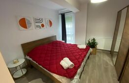 Apartament de 2 camere, 45 mp, lux, zona Corneliu Coposu