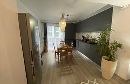 Apartament de 2 camere, 45 mp, lux, zona Corneliu Coposu