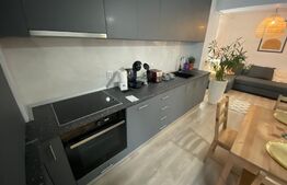 Apartament de 2 camere, 45 mp, lux, zona Corneliu Coposu