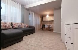 Apartament 2 camere, de lux , zona Cetatii 