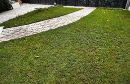 Spatiu birouri, 300 mp, finisat, zona Cetatuia