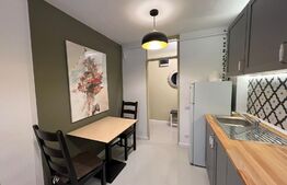 Apartament de 2 camere, 42mp, lux, zona strazii Alexandru Vlahuta