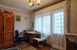 Duplex 163 mp, 250 mp teren, Andrei Muresanu